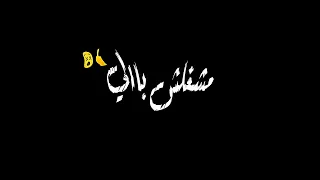 الساحه ساحتي حالات واتس شاشه سوده مودي امين الساحه ساحتي بلعب براحتي 