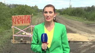 В трёх районах Омской области введён карантин по птичьему гриппу