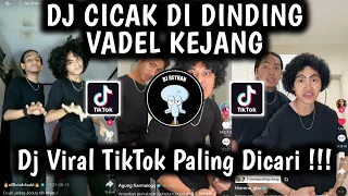 dj cicak cicak di dinding vadel trend dance vadel ryan wdf x dj nasa x vinsky viral tiktok terbaru