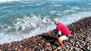 Vio una Mancha Entre las Olas y Lanzó la Atarraya en el Momento Justo