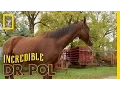 Not-So-Wide Receiver The Incredible Dr Pol