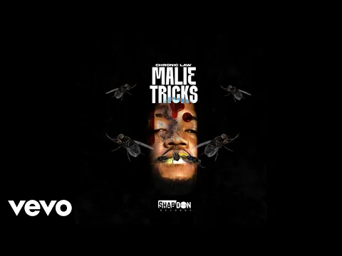 Video Thumbnail: Chronic Law - Malie Tricks (Official Audio Video)