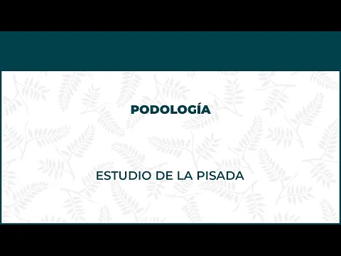 Estudio De La Pisada. Podología - FisioClinics Vitoria, Gasteiz