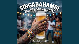 singabahambi travelers steady