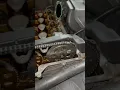 P0017 gmc canyon problem found