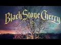 Download Lagu New Kinda Feelin'-Black Stone Cherry