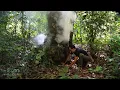 Download Lagu Food hidden deep inside the tree hollow | LIVING OFF THE GRID | Episode 85