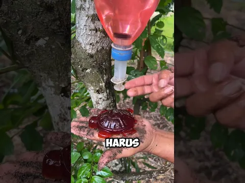 Sabun Kura-Kura Jatuh ke Tanah! Ternyata Bisa Dibuat Baru Lagi! 🐢🧼😍#shorts