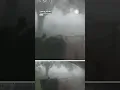 Tornado Knocks Down Trees In Canada