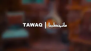                             تواق   ماتخطينا دندنها