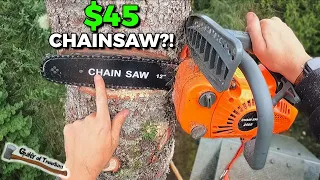 The CHEAPEST Chainsaw I have EVER Purchased Jiggly Dog Chainsaw Review