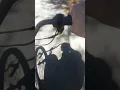 Walmart com Bikeberry