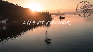 Living on our 28ft sailboat | Blue sharks and sea showers in the Spanish Rias EP15