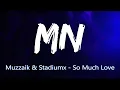 Muzzaik & Stadiumx - So Much Love (Bass Boosted)