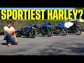 Which Harley-Davidson Is The Best Sport Motorcycle