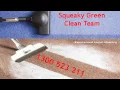 Squeaky Green Clean Team Carpet Cleaning Sydney