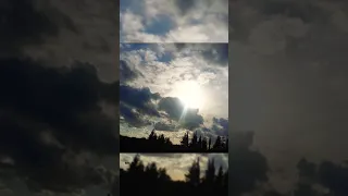 عاشت ايدك ريمكس اجنبي فيديو قصير حالات واتس عاشت ايدك Music Song Video Shorts Alanwalker سوريا 