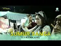 Download Lagu SUMUR SANGA - ULFA TANJUNG, GOYANGE PANTURA \