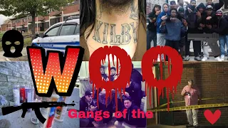 The Gangs of Worcester MA