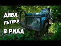 Download Lagu Из дивите гори на Рила | Среща със ЩРАУСИ отблизо!