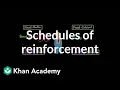 Operant conditioning Schedules of reinforcement Behavior MCAT Khan Academy