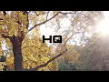 UB40 - King (HQ)