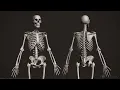 Human Osteology Axial and Appendicular Skeleton