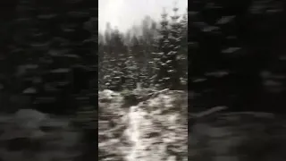 Why This Album Will Change Everything 