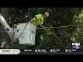 WPS preventing power outages during severe storms with new tree trimming effort