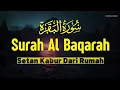 Download Lagu AL QURAN MERDU PENGANTAR TIDUR SURAH AL BAQARAH FULL MENYEJUKKAN HATI, PELINDUNG DIRI