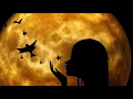 Me and my shadow lyric video