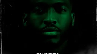 bambinja feat mdu aka trp bongza