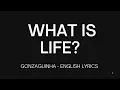 O que é, o que é? Gonzaguinha - English lyrics