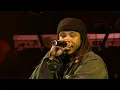 Stephen & Damian "JR. Gong" Marley - It Was Written (Book Of Life)