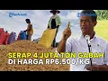 Lagu PEMERINTAH AKAN SERAP 4 JUTA TON GABAH PETANI DI HARGA RP 6.500 PER KG
