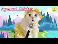 Download Lagu Ayeshni Akhtar Versi Kucing Lucu Sholawatan Kucingnya Imut, Pintar Banget,Suka Mengaji \u0026 Bersholawat