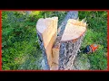 Download Lagu De Key Notch-techniek onder de knie krijgen: Tutorial voor het kappen van bomen voor gevorderden