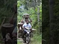 Download Lagu Woko channel - Terbaru!! Samiren tuwek o titis dadi anak limo! 🤣