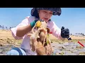 Download Lagu Xiao Zhang went to the sea and caught a large nest of octopuses!