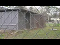 Silsbee residents push for countywide animal shelter