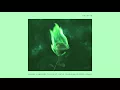 Gryffin - Nobody Compares To You (Codeko Remix/Audio) ft. Katie Pearlman