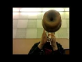 Denis Ezhkov  - Trumpet / Lead /  Solo / Big Band