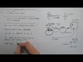 GCSE Biology LIVE Natural Selection Genetic Engineering Exam Questions 6-Mark Answers