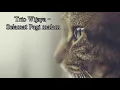 Lagu Trio Wijaya-Selamat Pagi Malam | Lirik#