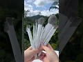 Download Lagu Cornsilk Makeup Brush Set: Usher in the era of pure beauty #makeup #beauty #fashion #eco #asmr #fyp