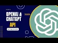 Beginner Tutorial pip install openai