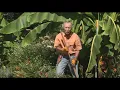 Don t make these 3 end-of-summer gardening mistakes