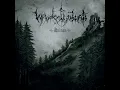 Graustufen Novembertage - Waldgeflüster