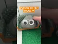 Download Lagu Petting my rocks just feels different 😝#shorts #petrock #cute