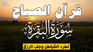قرآن الصباح سورة البقره    قران كريم بصوت جميل جدا لحفظ وتحصين المنزل وجلب البركه                  دندنها